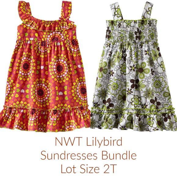 Lulybird Girls Smocked Ruffle Sundress Clothes Dress Lot Floral size 2T NWT - Picture 1 of 7